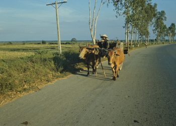Bộ Ảnh Đẹp Về Việt Nam 1987-1988