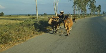 Bộ Ảnh Đẹp Về Việt Nam 1987-1988