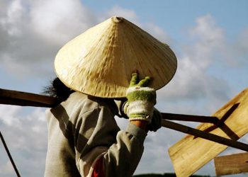 Hình Ảnh “Nón Lá” Trong Những Ca Khúc Nhạc Vàng Xưa