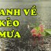Cảm Nhận Ca Khúc “Anh Về Kẻo Mưa” Của Nhạc Sĩ Ngân Giang