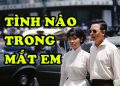 Viết Về Ca Khúc Đôi Mắt Người Xưa (Tình Nào Trong Mắt Em) Của Nhạc Sĩ Ngân Giang